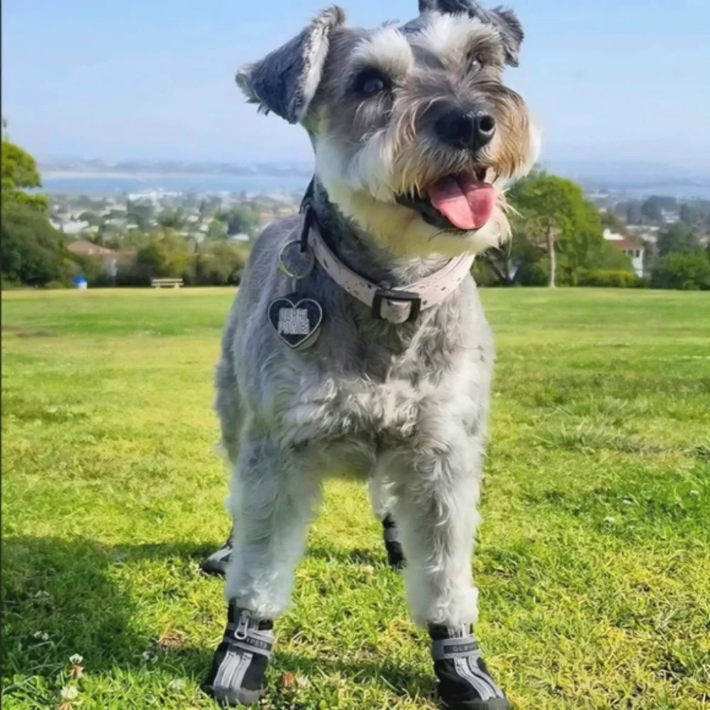 Dog Boots / Shoes Waterproof Size 3 (small)